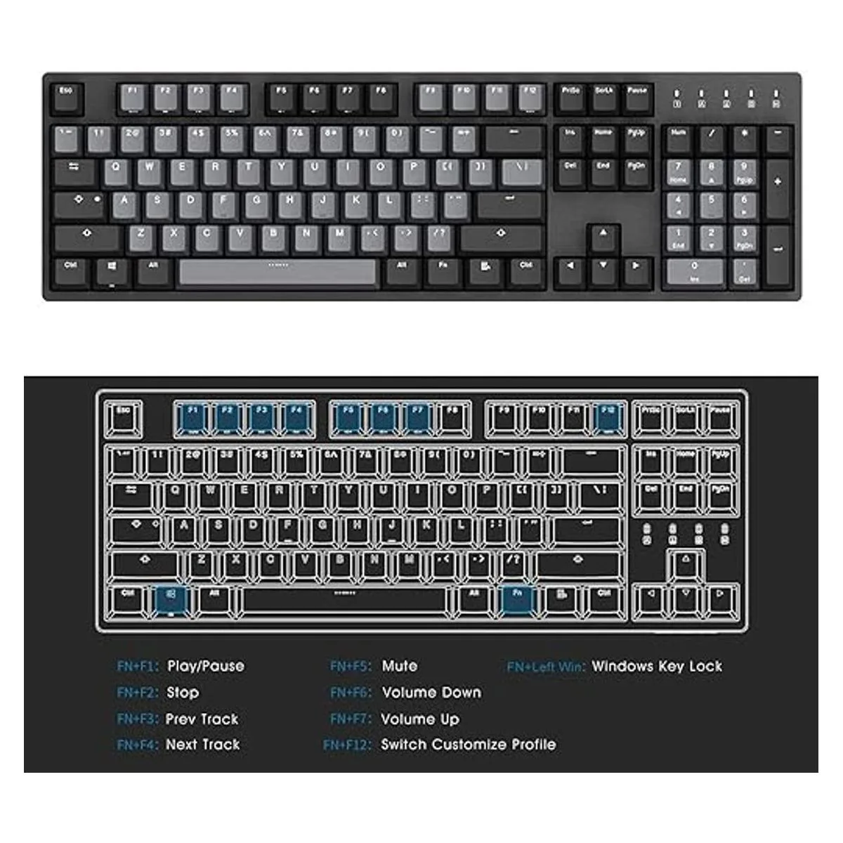 Durgod Taurus K310 Teclado mecánico 104 teclas de tamaño_2