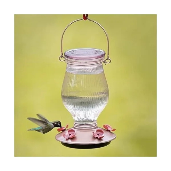 PerkyPet 91042 Alimentador de colibrí de vidrio de relleno_6