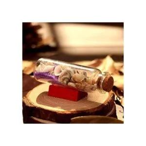 Danmu 12 mini botellas de vidrio de 1.18 x 3.14 pulgadas_6