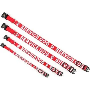 Collar para perro de Plutus impreso en letras grandes_4