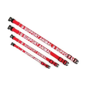 Collar de apoyo para mascotas de Plutu impreso en letras_4