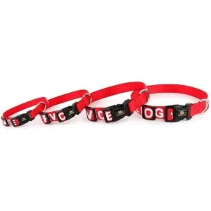 Collar para perro de Plutus impreso en letras grandes_3