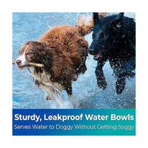 Cuencos desechables biodegradables de grado veterinario_7