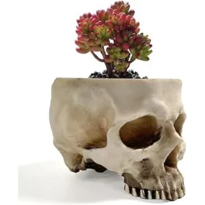 RMM Decoración de Halloween retro con cabeza de calavera_2