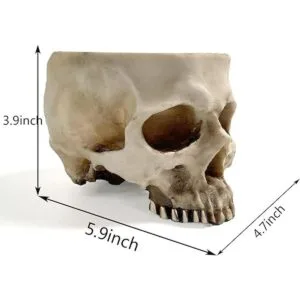 RMM Decoración de Halloween retro con cabeza de calavera_4