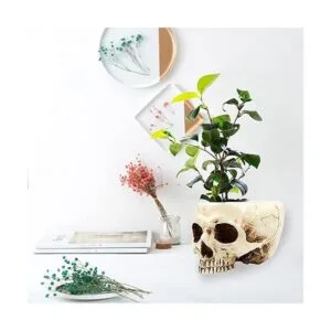 RMM Decoración de Halloween retro con cabeza de calavera_3