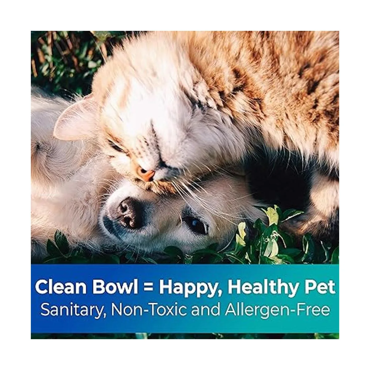 Cuencos desechables biodegradables de grado veterinario_4