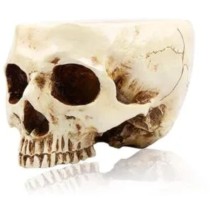 RMM Decoración de Halloween retro con cabeza de calavera_1