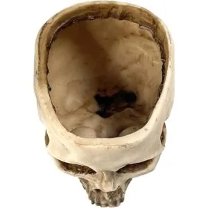 RMM Decoración de Halloween retro con cabeza de calavera_7