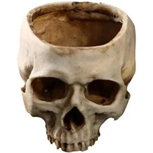 RMM Decoración de Halloween retro con cabeza de calavera_6