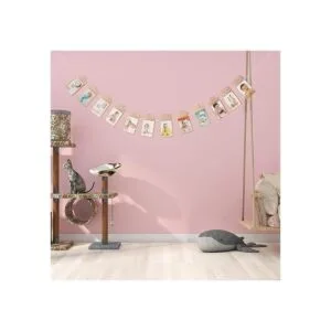 OOTSR 1st Birthday Photo Banner Crecimiento Record 112_7