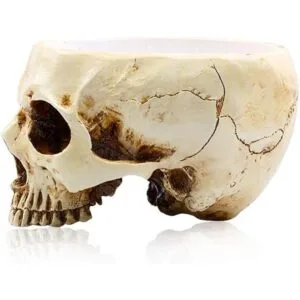 RMM Decoración de Halloween retro con cabeza de calavera_5