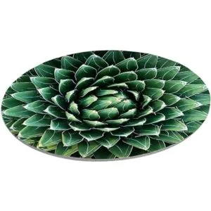 Alfombrilla de ratón redonda de cactus verde sin costuras_2