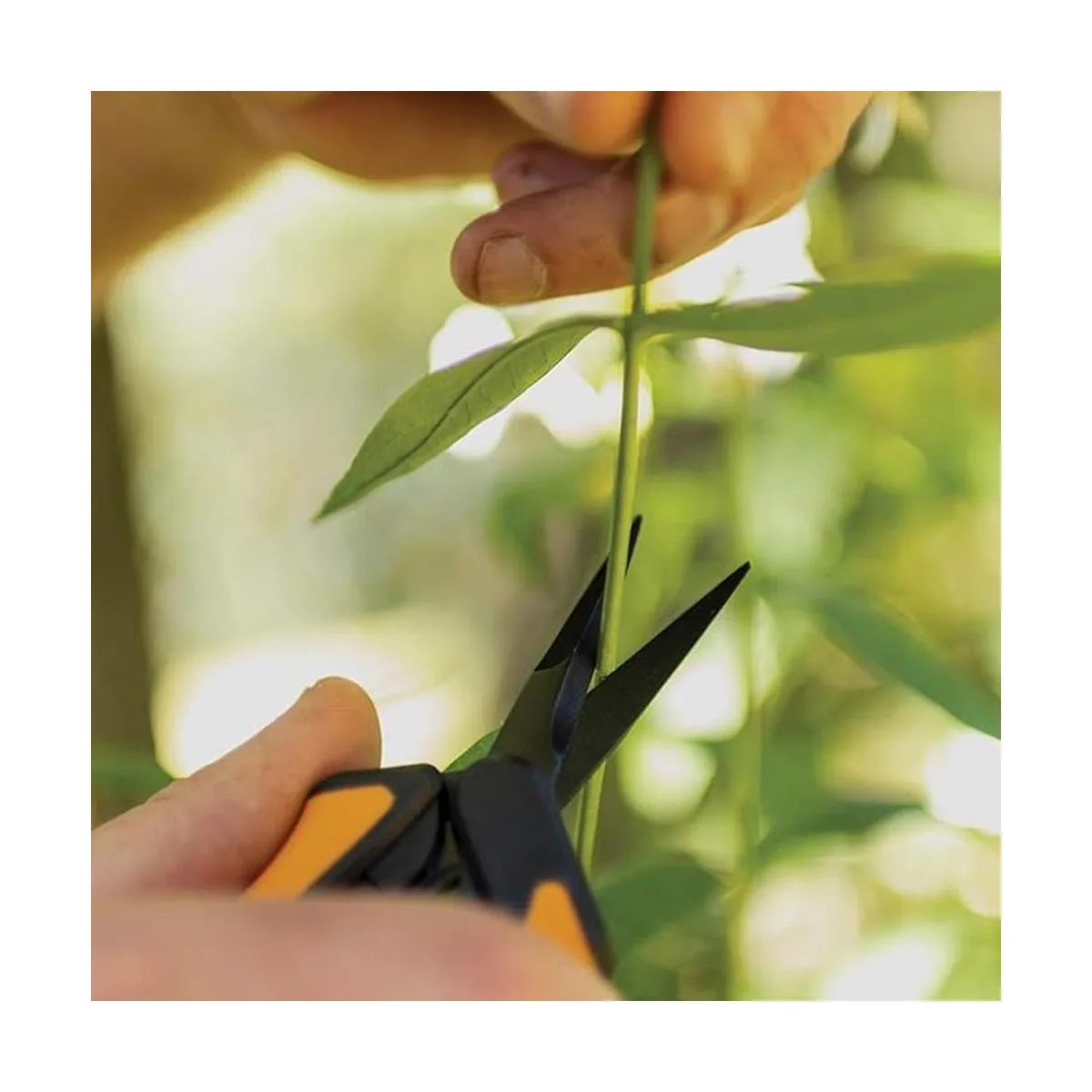 Fiskars 3992411002 Tijeras de podar con micro puntas_5