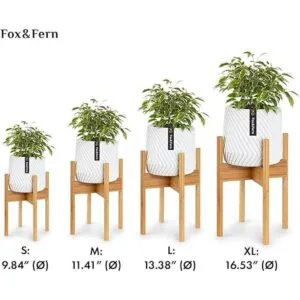 Fox Fern Soporte moderno de medio siglo para maceta_7