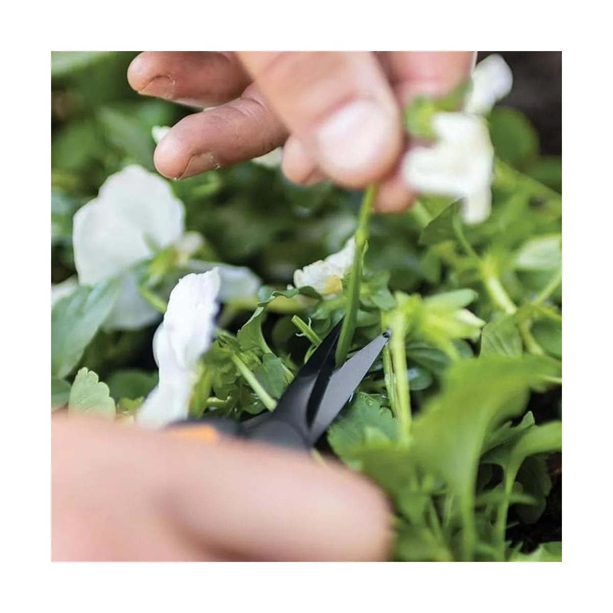 Fiskars 3992411002 Tijeras de podar con micro puntas_6