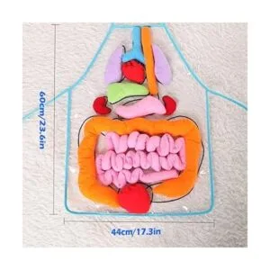 KAKIBLIN Delantal de órgano 3D delantal de anatomía_6