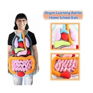 KAKIBLIN Delantal de órgano 3D delantal de anatomía_3
