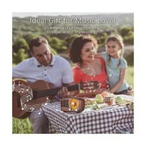 Radio vintage retro Bluetooth Radio FM de madera de nogal_4