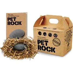 Pet Rock El original de Gary Dahl_1