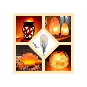 Salt Rock Lote de 10 bombillas de repuesto 2 bombillas_2