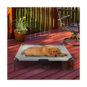 Elevated Dog Bed 24.5x18.5 Portable Bed for Pets with_6