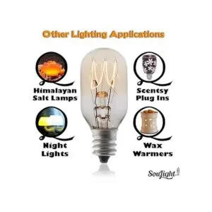 Salt Rock Lote de 10 bombillas de repuesto 2 bombillas_5