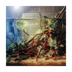 Hamiledyi Driftwood para acuarios reptiles ramas de madera_2