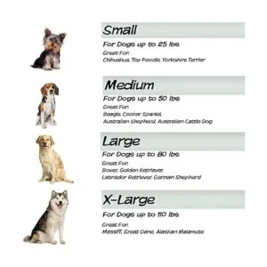 Elevated Dog Bed 24.5x18.5 Portable Bed for Pets with_5