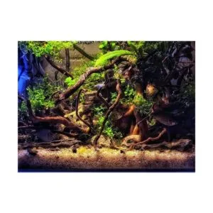 Hamiledyi Driftwood para acuarios reptiles ramas de madera_3