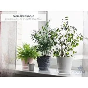 Plato para tarta de acrílico transparente profundo plato_2