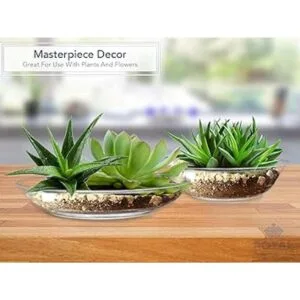 Plato para tarta de acrílico transparente profundo plato_5