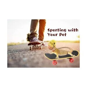 Vehomy Accesorios de dragón barbudo pequeño sombrero de_5