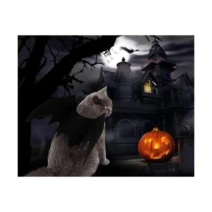 Disfraz de gato para mascotas disfraz de alas de_5