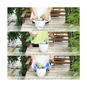 5 herramientas para suculentas mini herramientas de_2