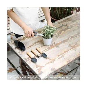 5 herramientas para suculentas mini herramientas de_6
