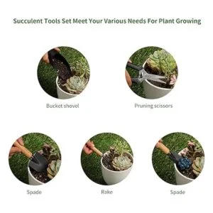 5 herramientas para suculentas mini herramientas de_3