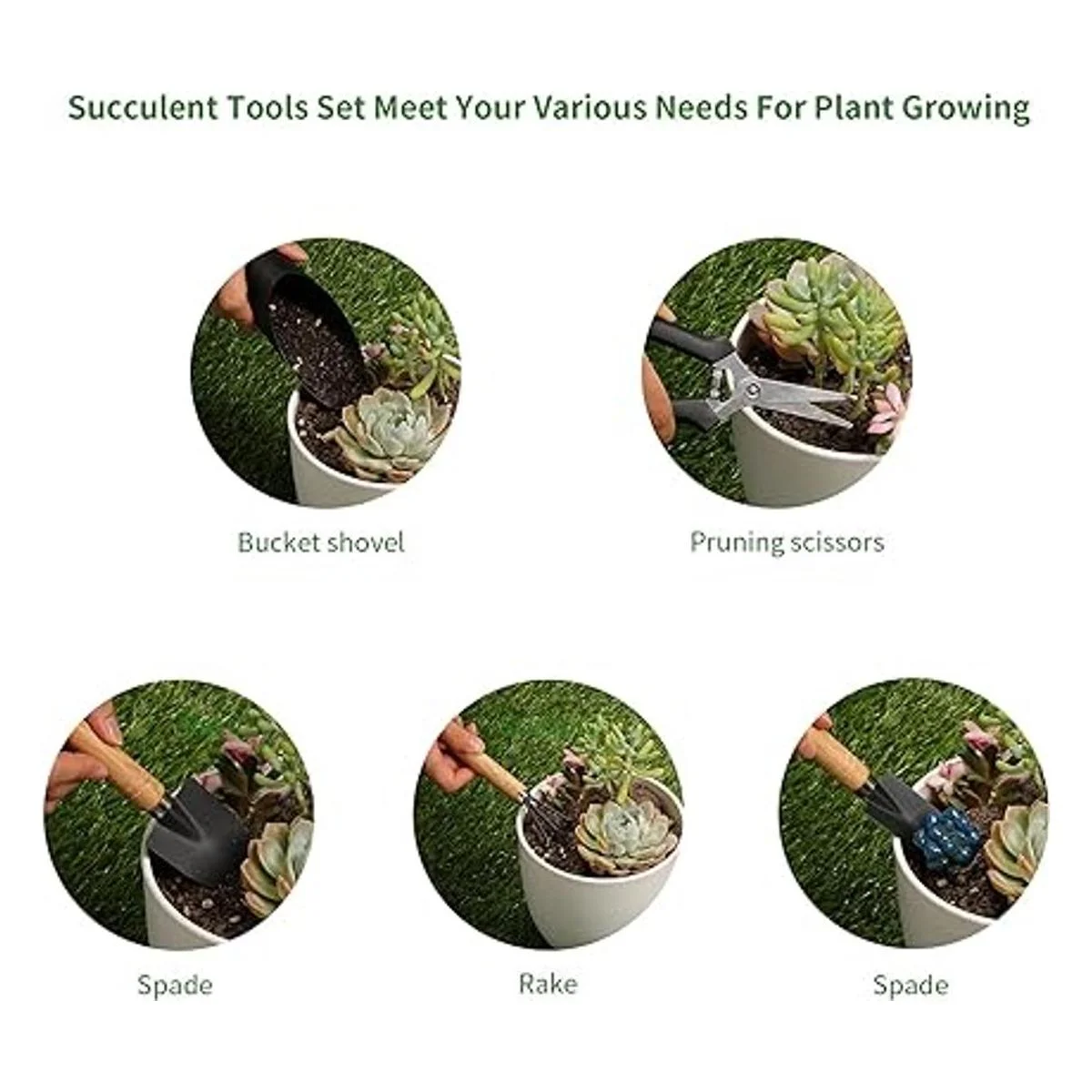 5 herramientas para suculentas mini herramientas de_3