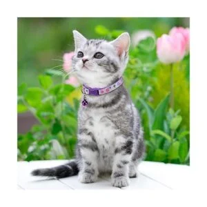 Frienda Collar de gato con campana ajustable diseño de_6