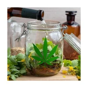 3 piezas de plantilla de hoja de hierba plantilla de hoja_4