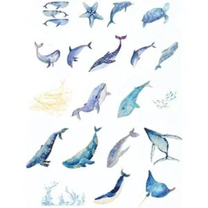 Kawaii Fantasy Whale Sea Turtle Starfish Sea Life Ocean_3