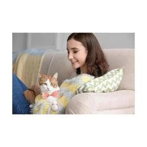 2 collares de gato con pajarita y campana luna dorada_3