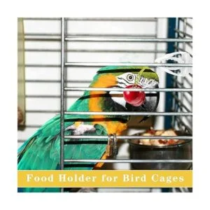 6 piezas de jaula de pájaros soporte de alimentos para_5