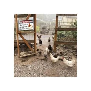 ANJOOY Letreros de metal de estaño para pollo señal de_6