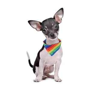 Tinsow Pañuelos multiusos con diseño de arco iris para_5