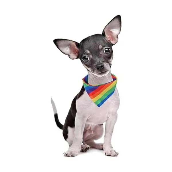 Tinsow Pañuelos multiusos con diseño de arco iris para_5