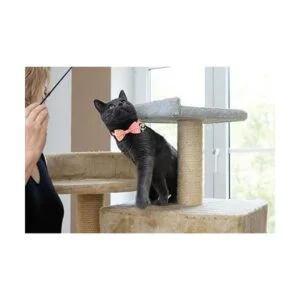 2 collares de gato con pajarita y campana luna dorada_7