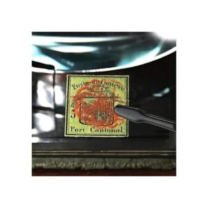 Pinzas de goma con punta de PVC con revestimiento de_5