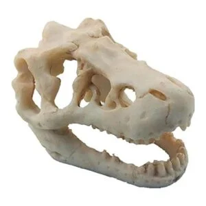 Decoración de acuario de dinosaurio adorno de calavera_1