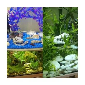 Decoración de acuario de dinosaurio adorno de calavera_3